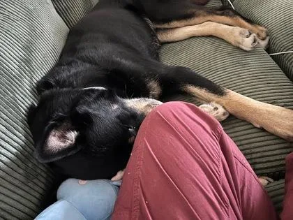 Little Boy thumbnail 3