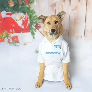 Flo From Progressive thumbnail 3