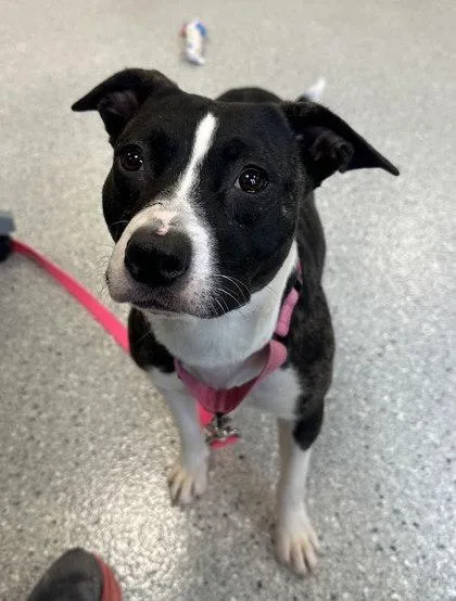 Loch Ness thumbnail 2