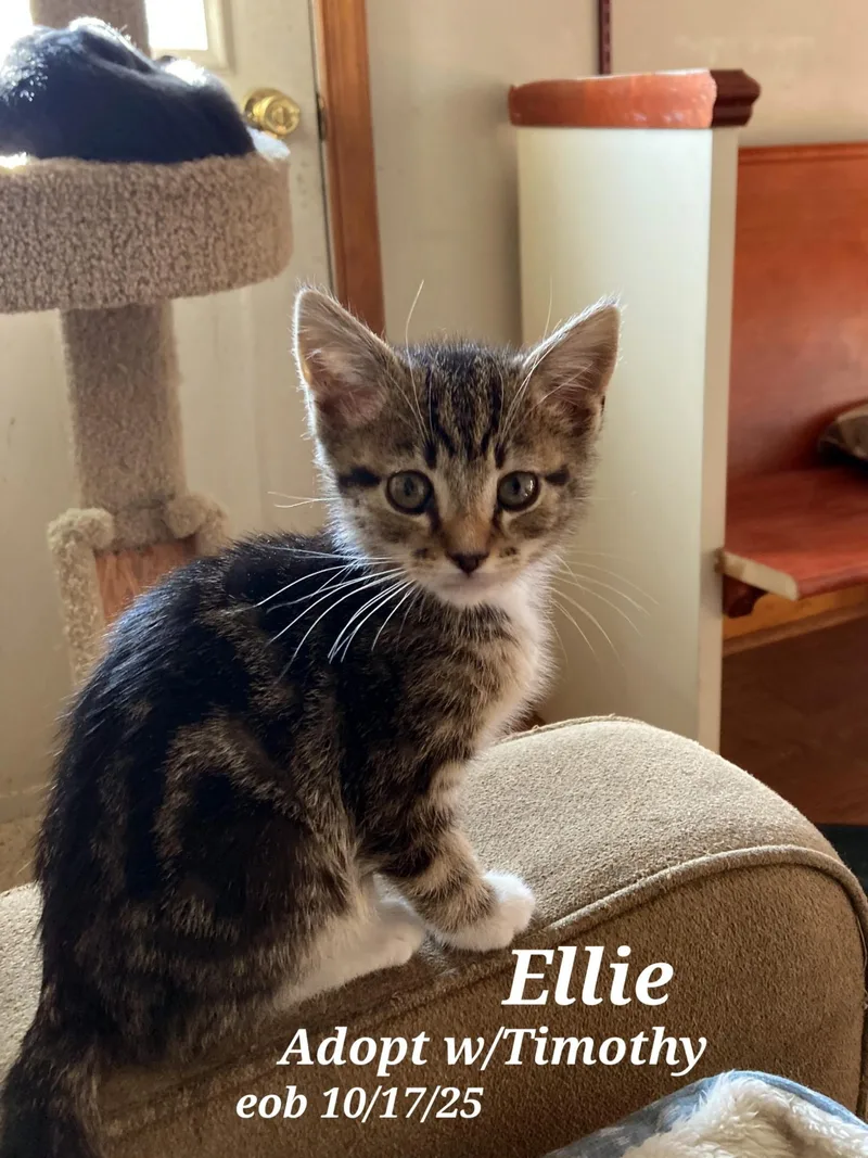 Timothy And Ellie thumbnail 2