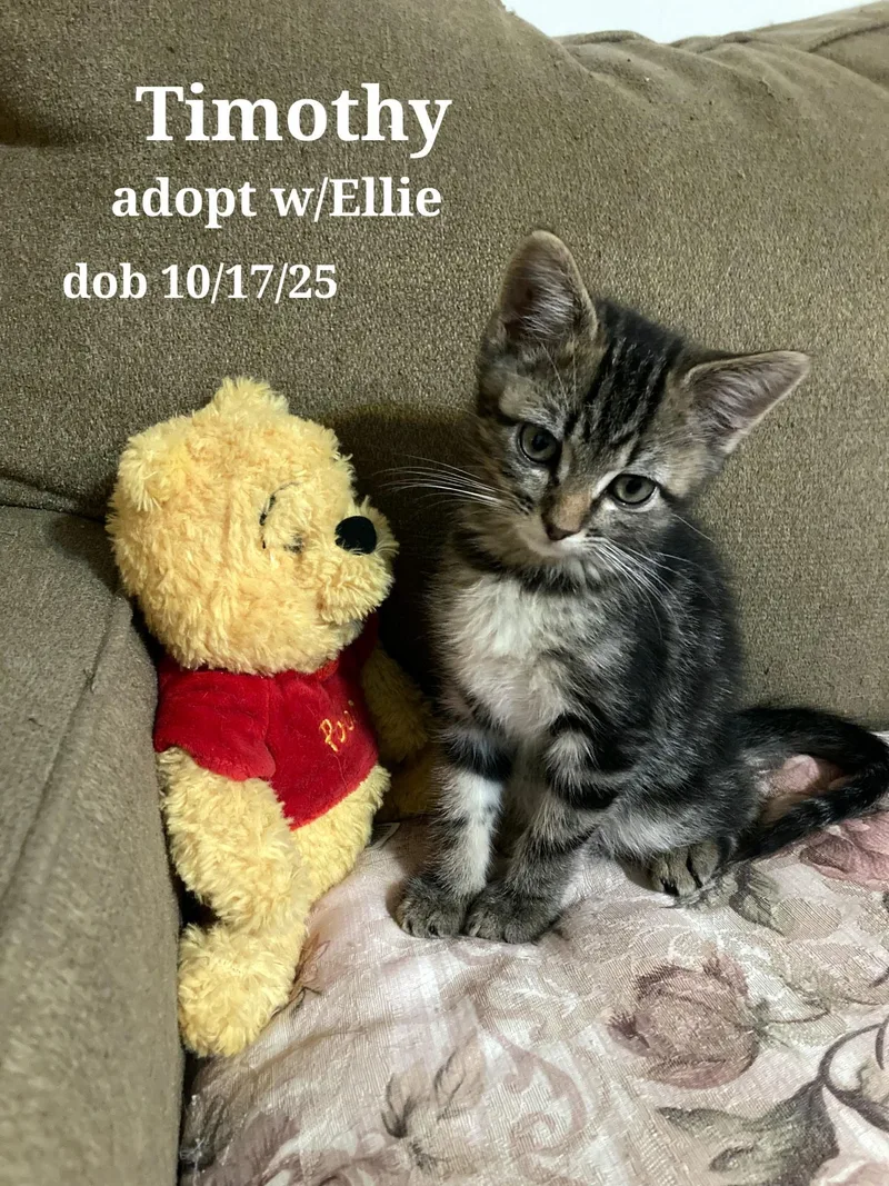 Timothy And Ellie thumbnail 3