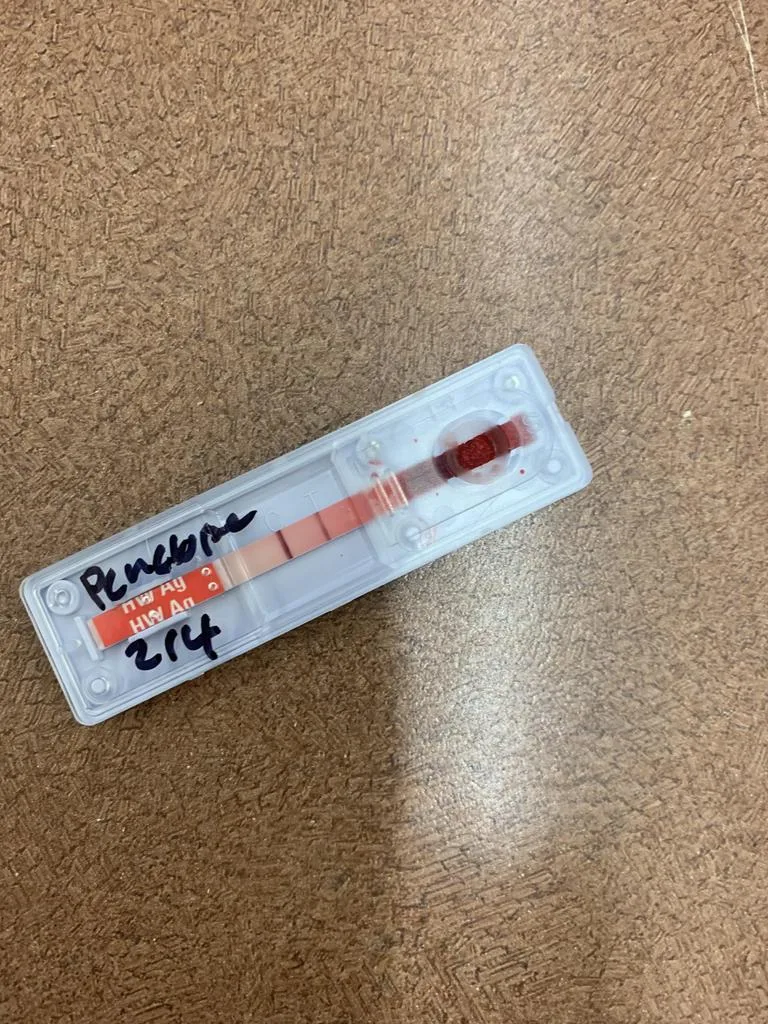 Penelope thumbnail 2