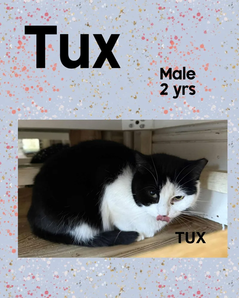 Tux
