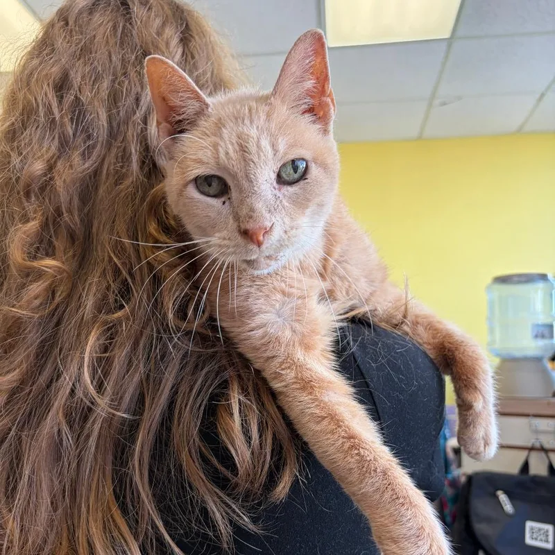 Jumpslider thumbnail 2