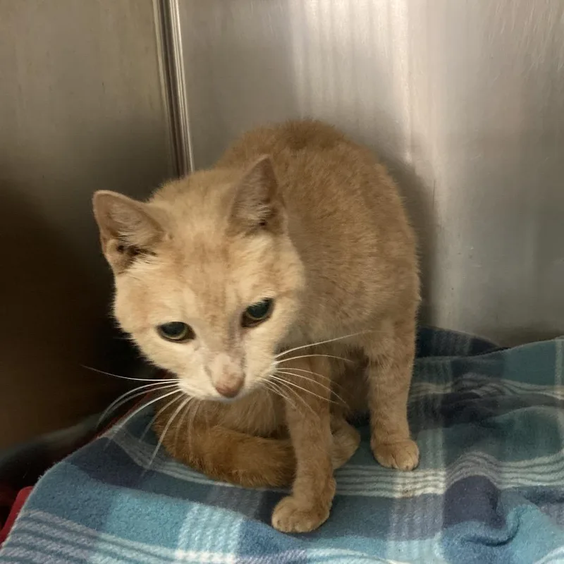 Jumpslider thumbnail 3