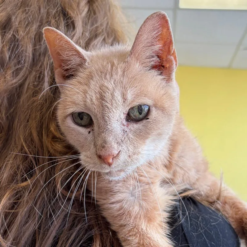 Jumpslider thumbnail 4