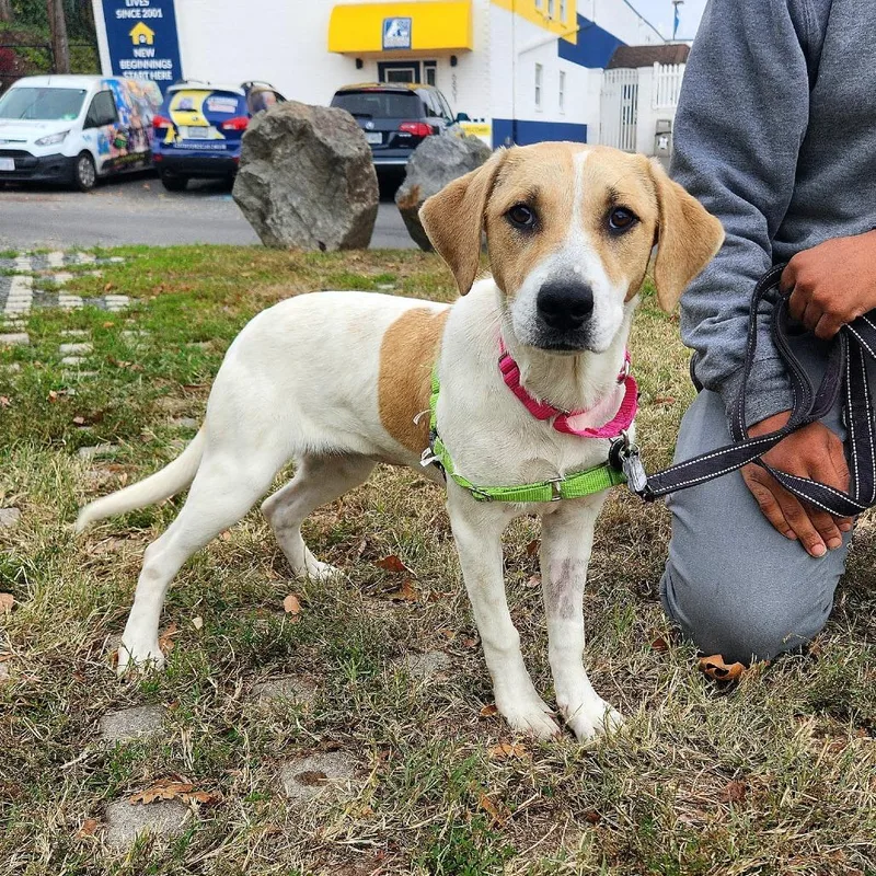 Sunny Day Fka Peaches thumbnail 2