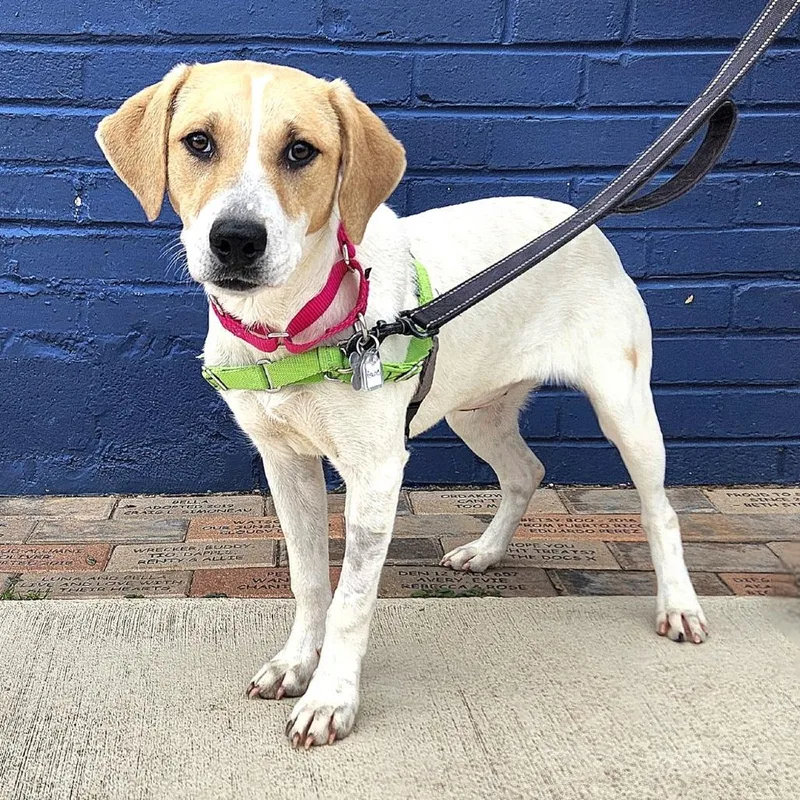 Sunny Day Fka Peaches thumbnail 3