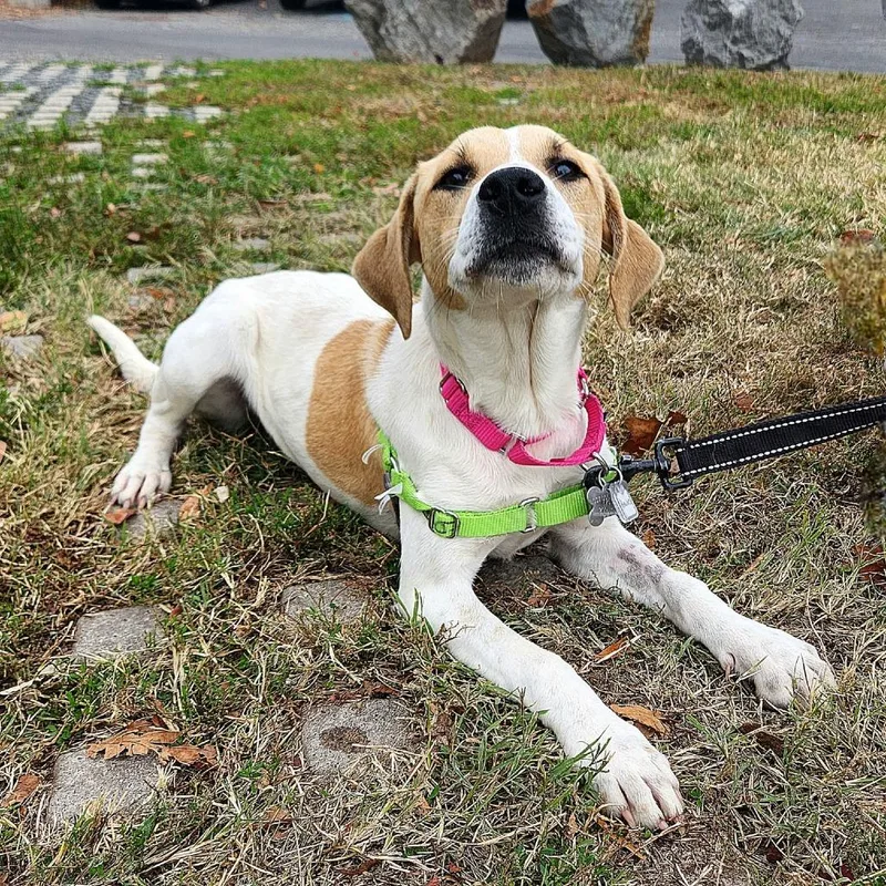 Sunny Day Fka Peaches thumbnail 4