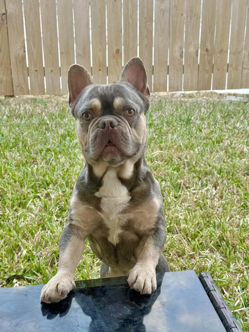 Cristiano thumbnail 3