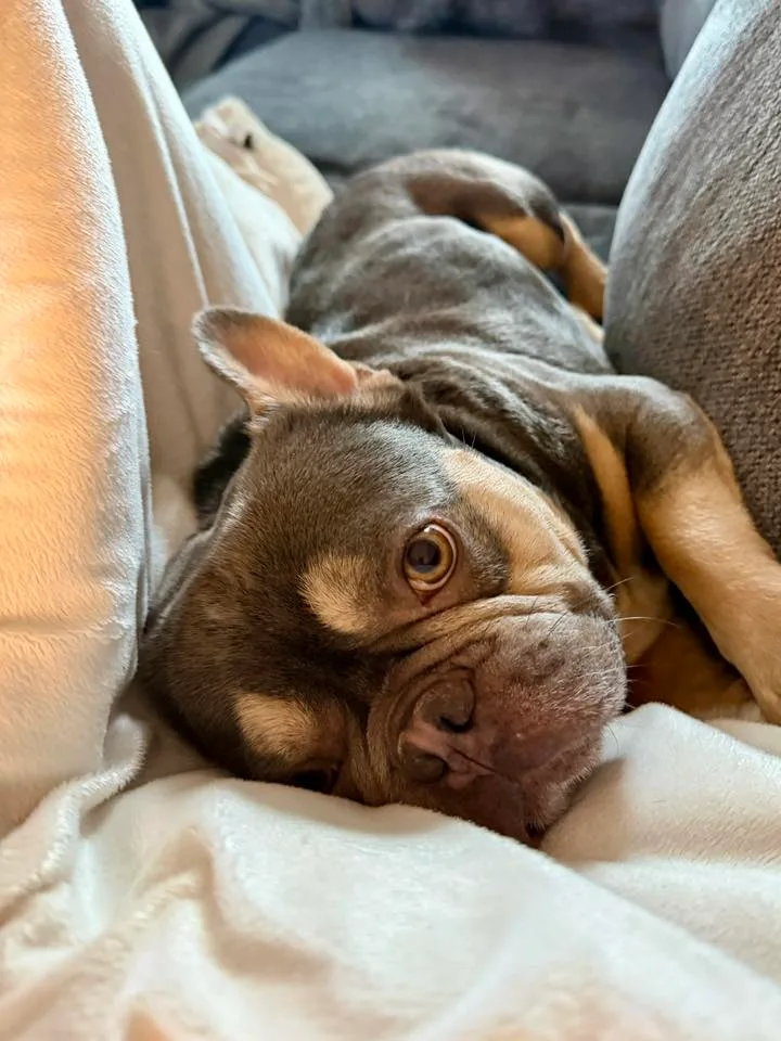 Cristiano thumbnail 4