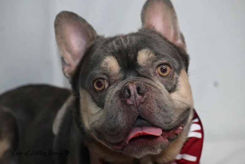 Cristiano thumbnail 8