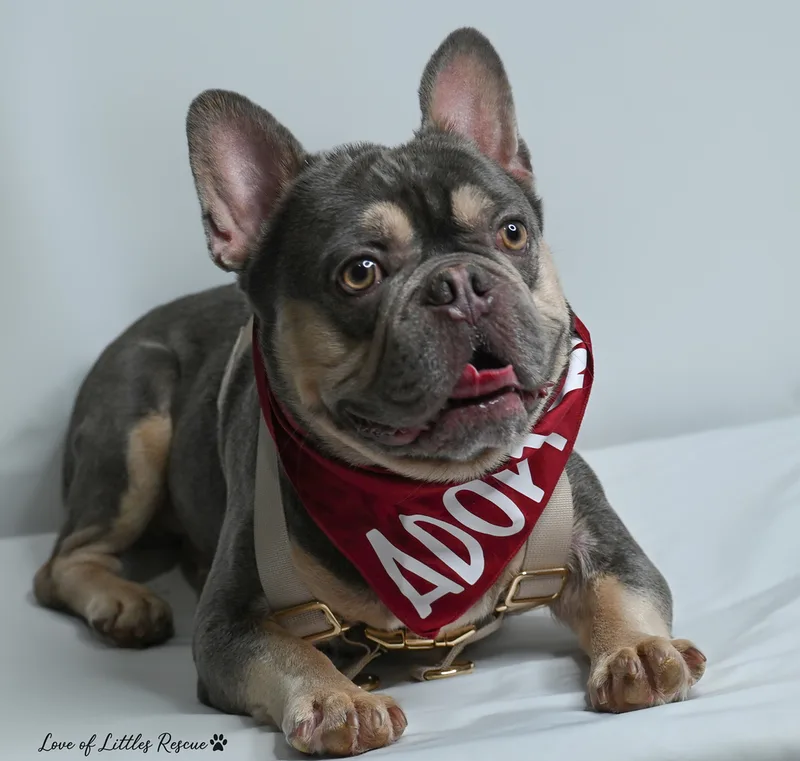 Cristiano thumbnail 6