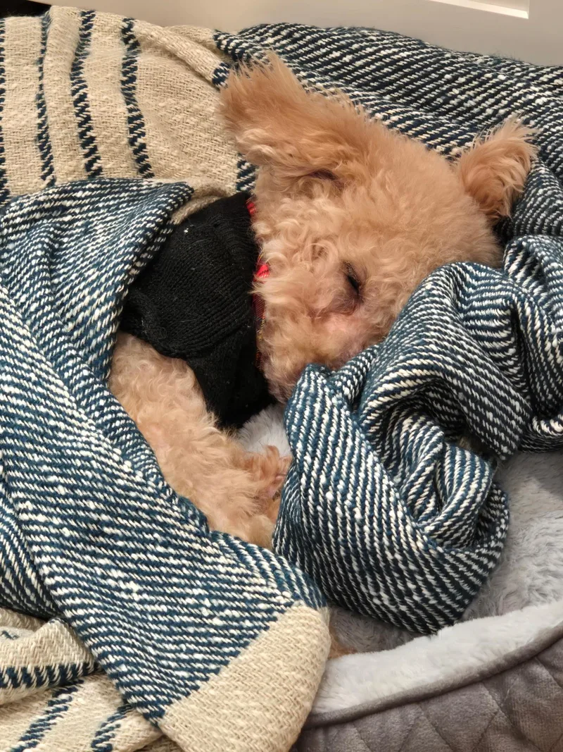 Tompkins thumbnail 2