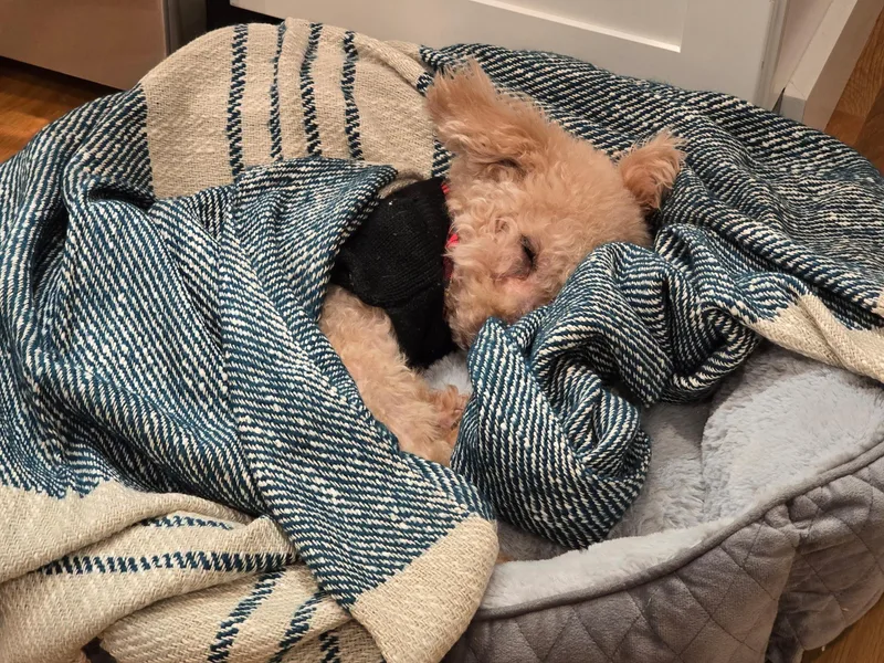 Tompkins thumbnail 3