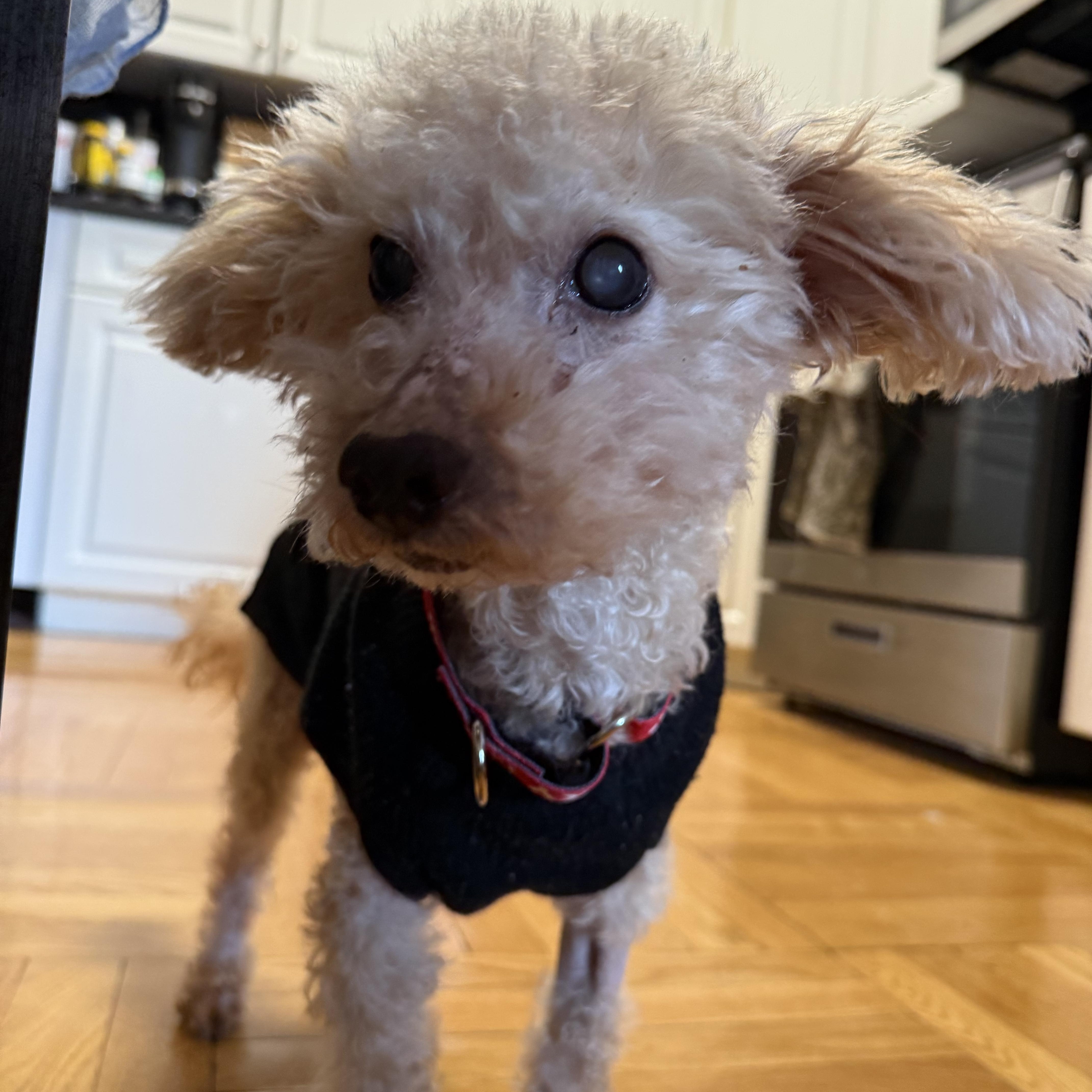 Tompkins thumbnail 4