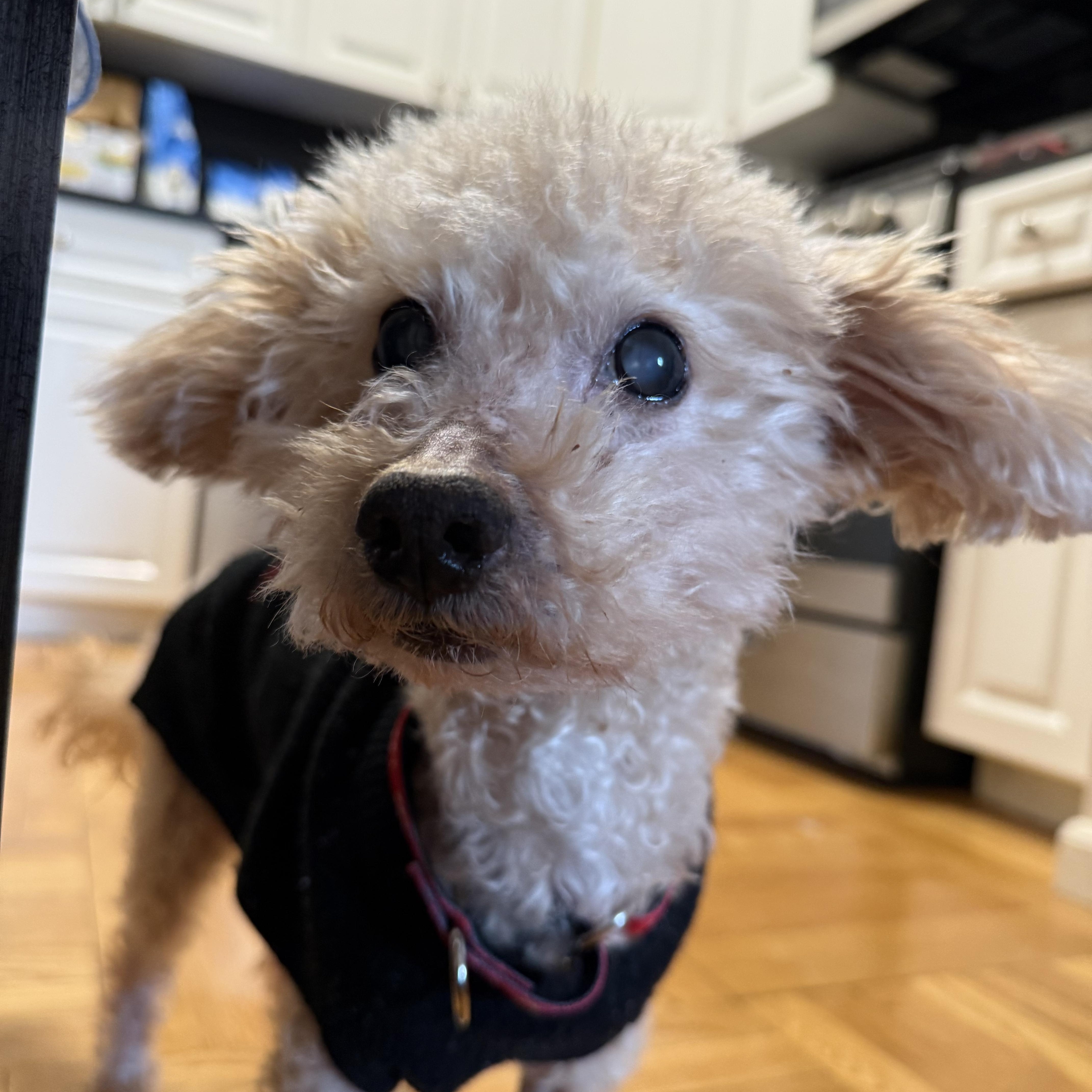 Tompkins thumbnail 6