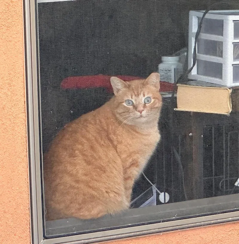 Sherlock thumbnail 3