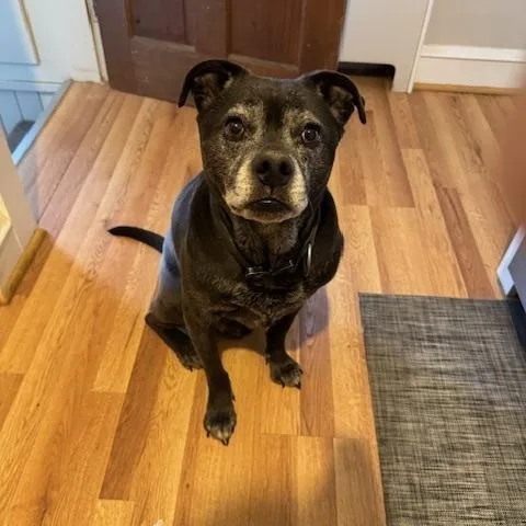 Barrettlocated In Rhode Island