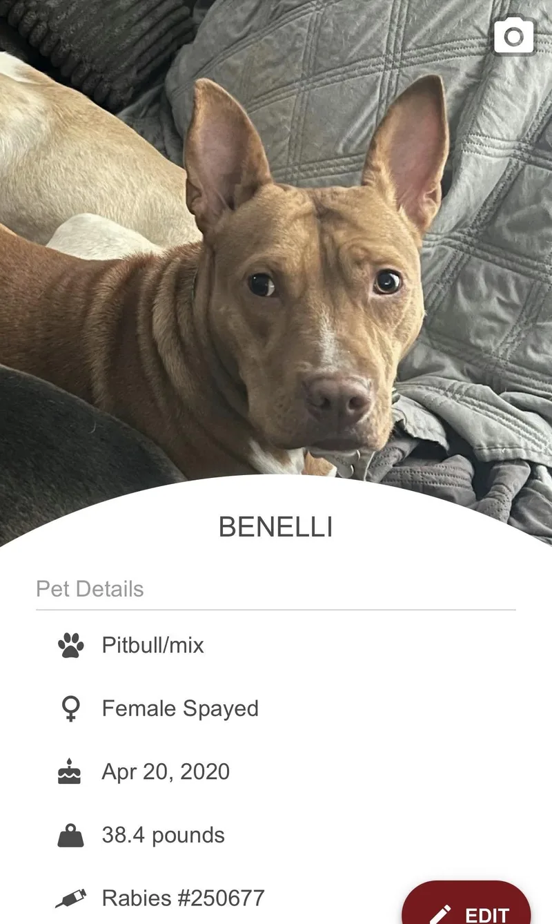 Benellilocated In Rhode Island thumbnail 2