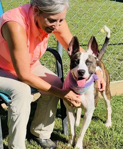 Lashay $ thumbnail 2