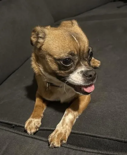 Little Debbie $ thumbnail 2