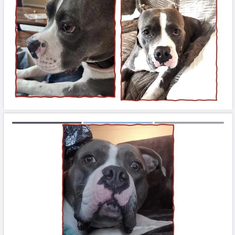 Maverick thumbnail 3