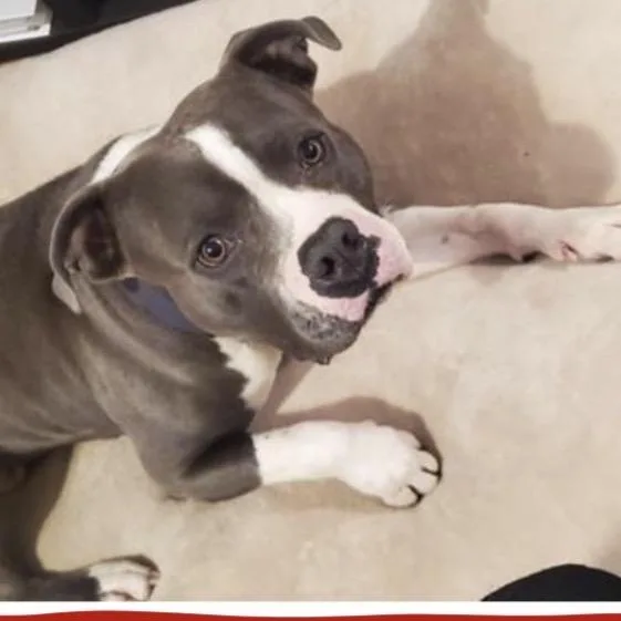 Maverick thumbnail 5