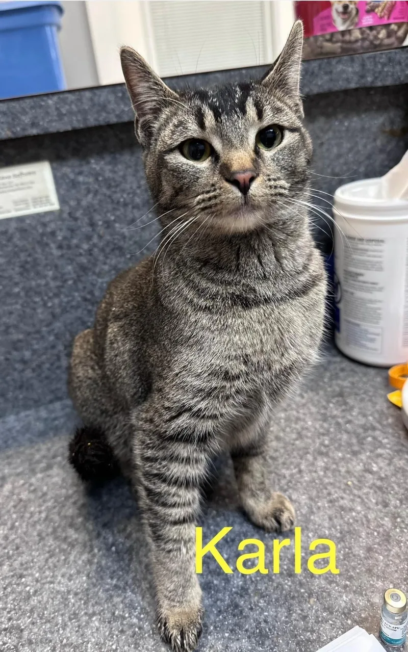 Karla