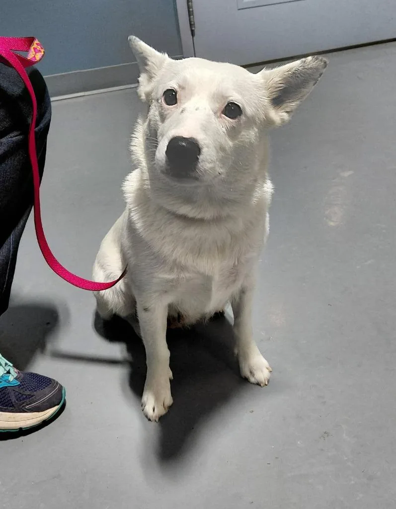 Caroline thumbnail 2