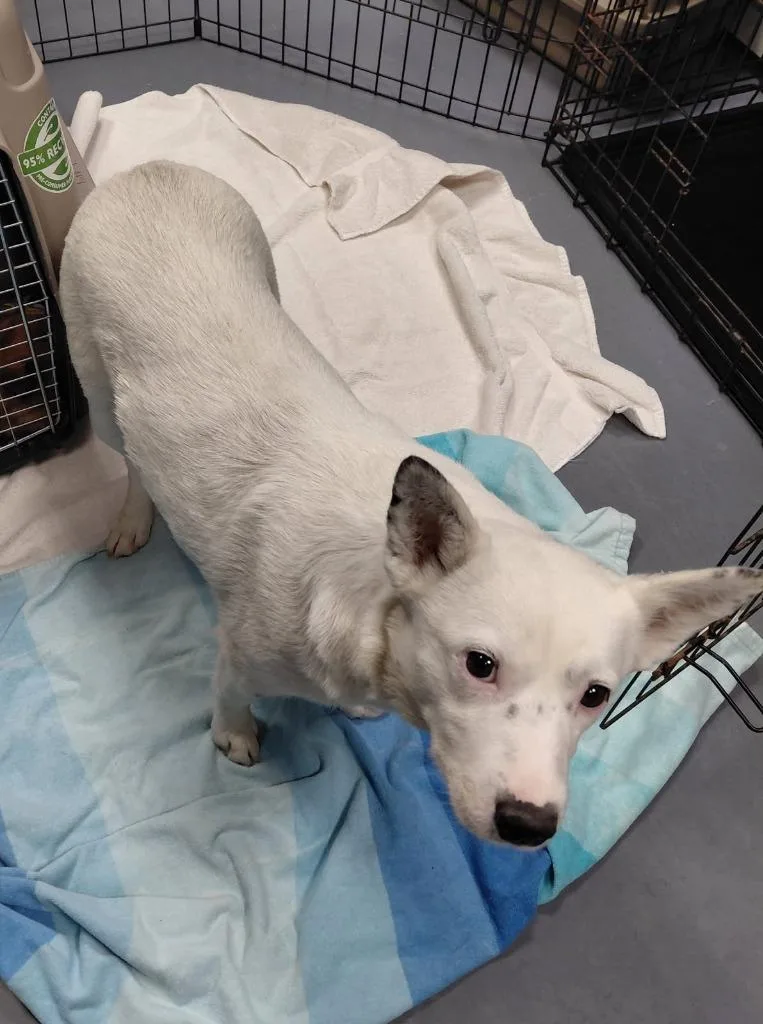 Caroline thumbnail 3