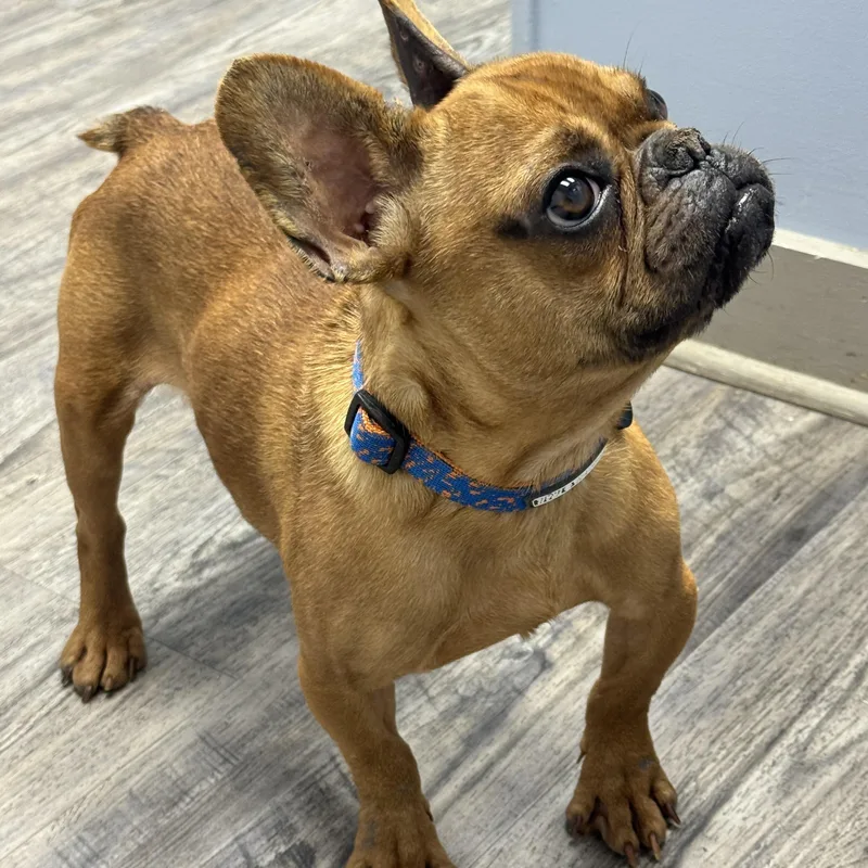 Mr.snuggles thumbnail 4