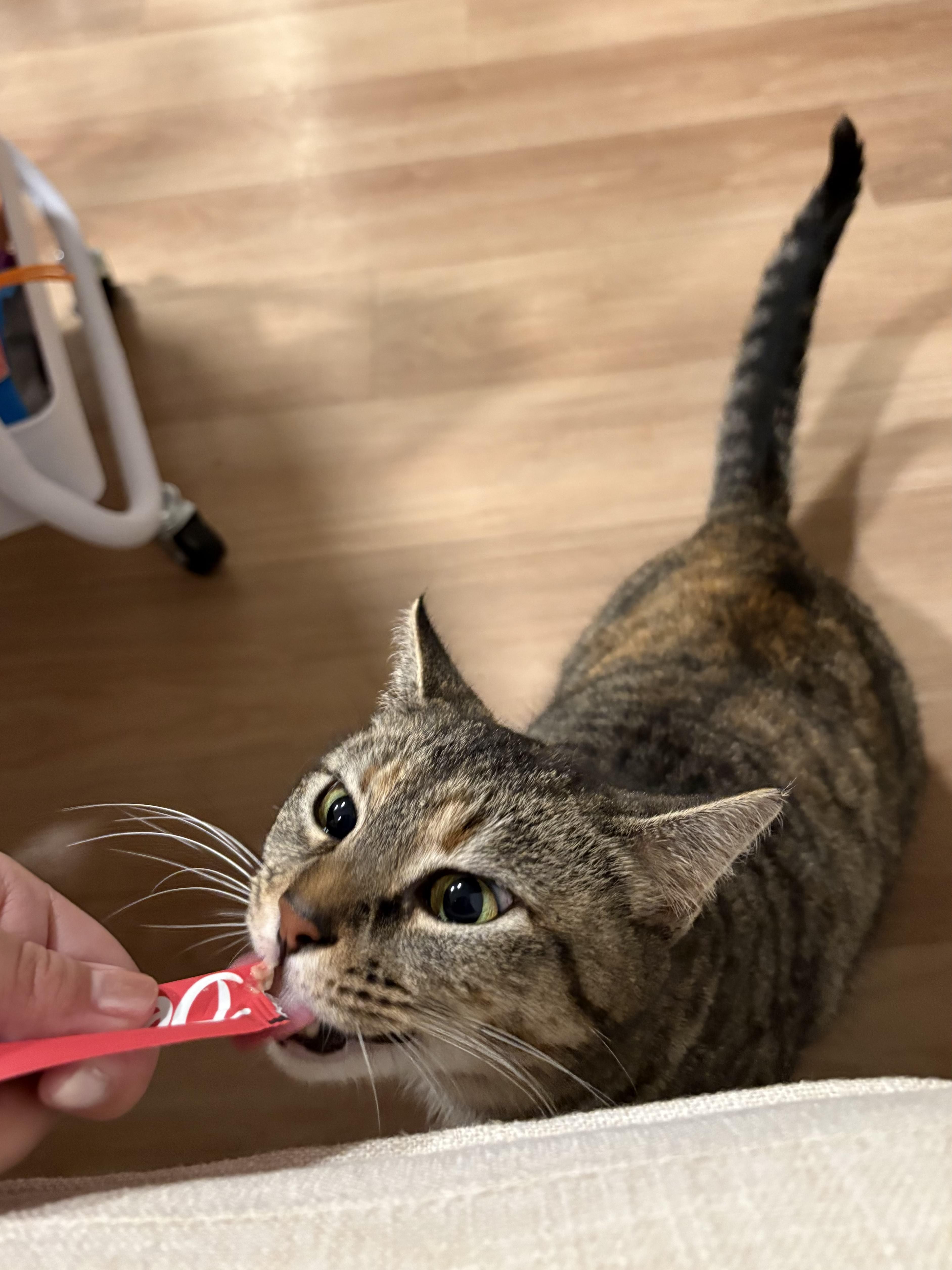 Goldie Briar thumbnail 3