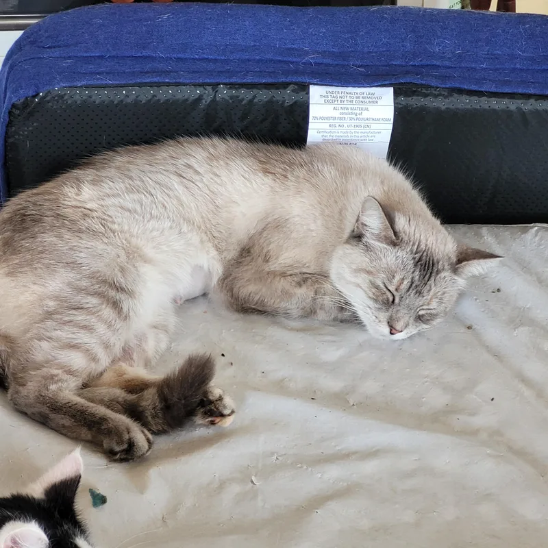 Tabitha thumbnail 2