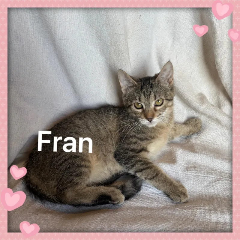 Fran