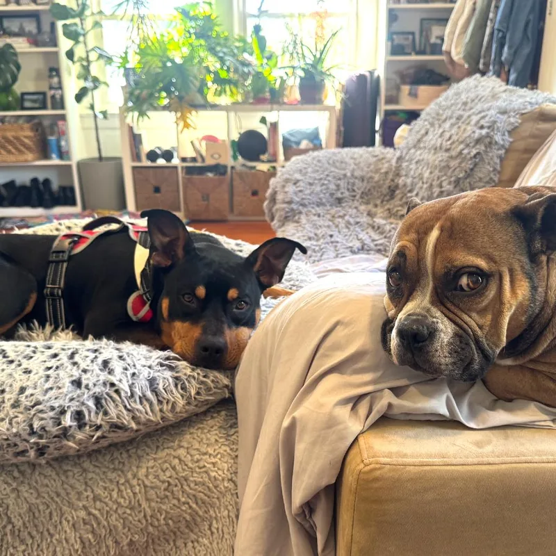 Mr. Beans thumbnail 2