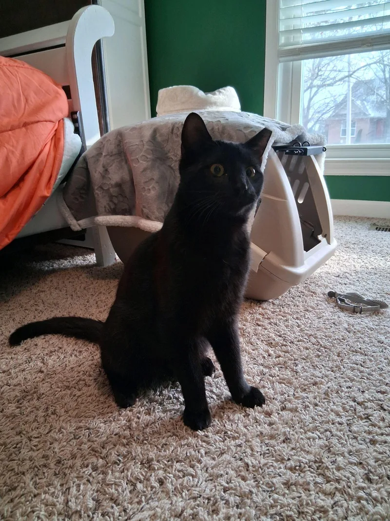 Mr. Biggs thumbnail 2