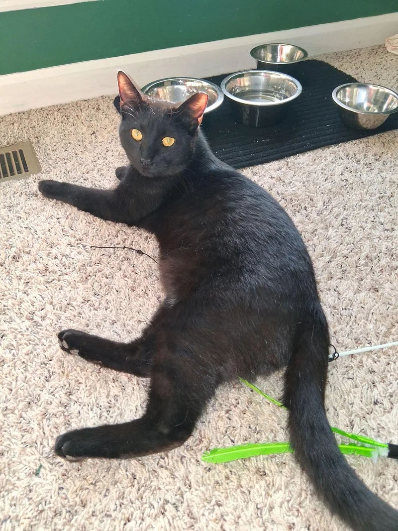 Mr. Biggs thumbnail 3