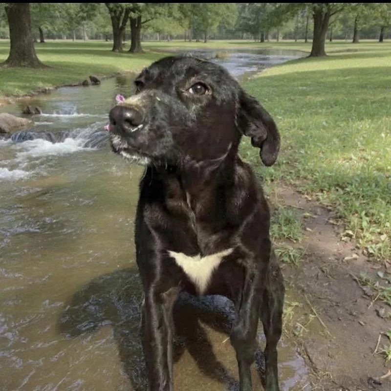 Snuggle Wuggle thumbnail 6