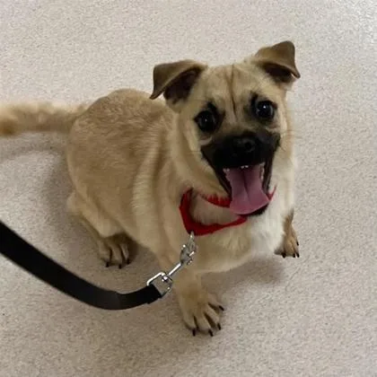 Evan Baits thumbnail 2