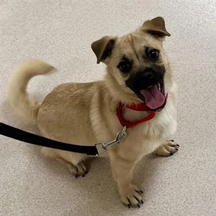 Evan Baits thumbnail 3