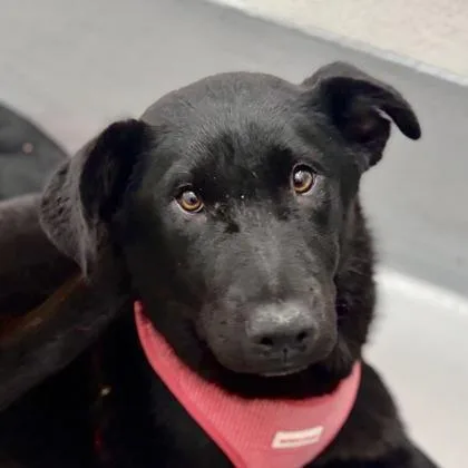 Madison Chuckit thumbnail 2