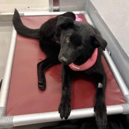 Madison Chuckit thumbnail 3