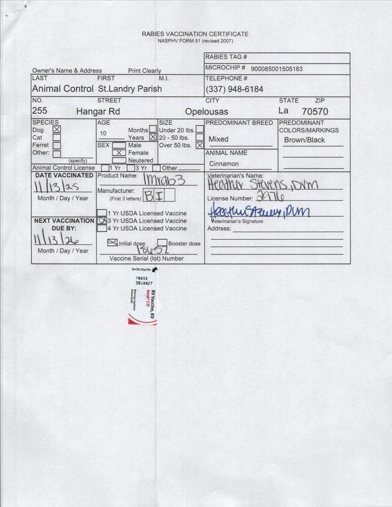 Cinnamon thumbnail 2