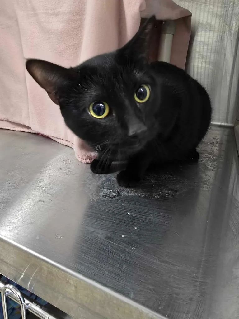 Momma Plant thumbnail 2