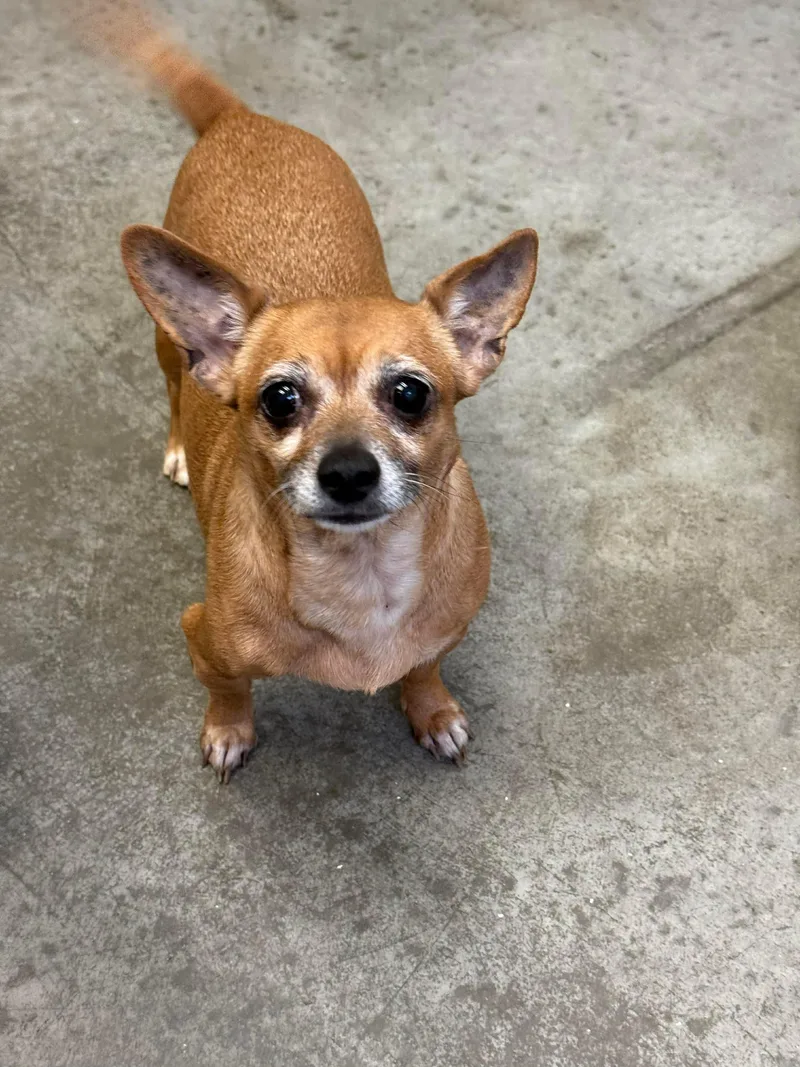 Mr & Missy thumbnail 2