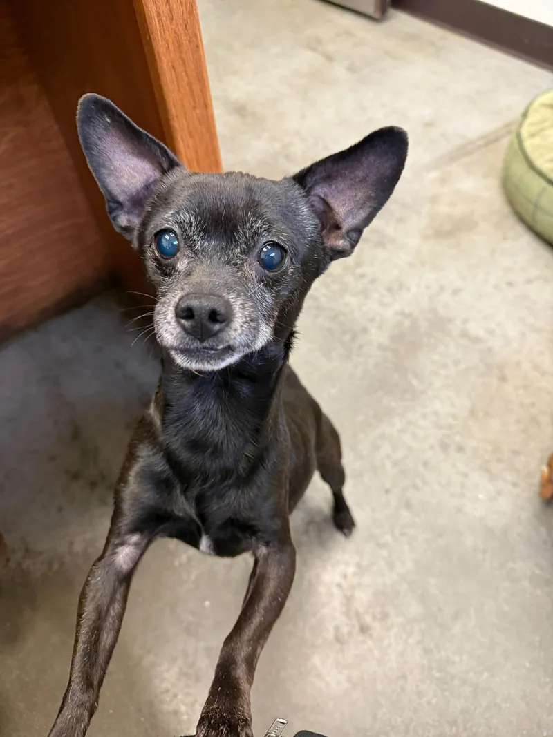 Mr & Missy thumbnail 3