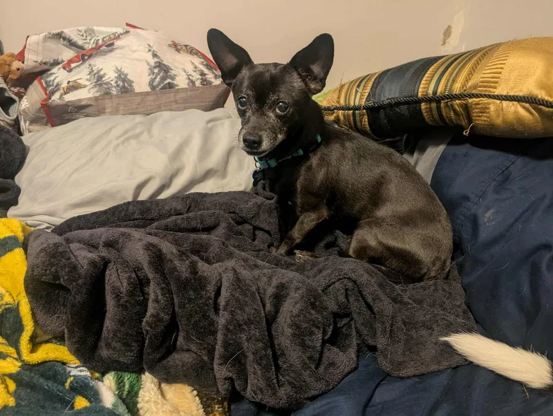 Mr & Missy thumbnail 4