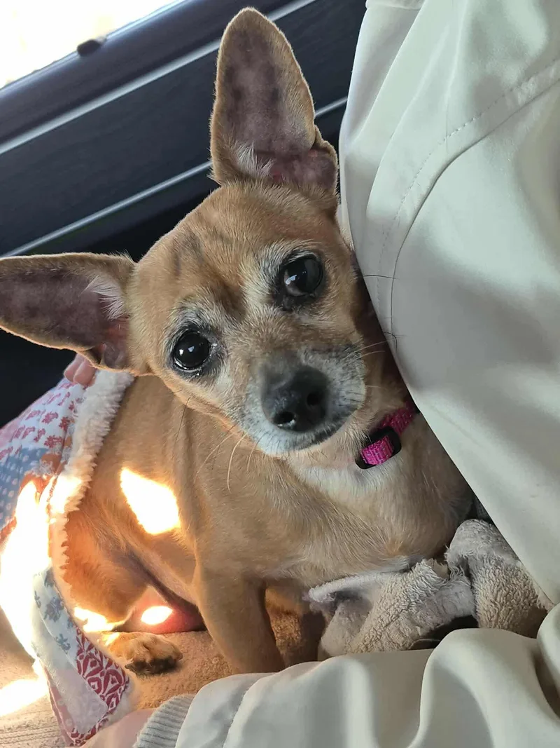 Mr & Missy thumbnail 6