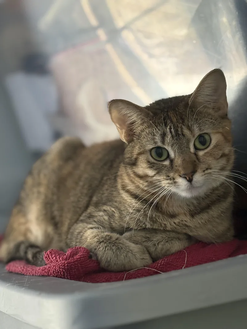 Pink Pony & Victoria thumbnail 2